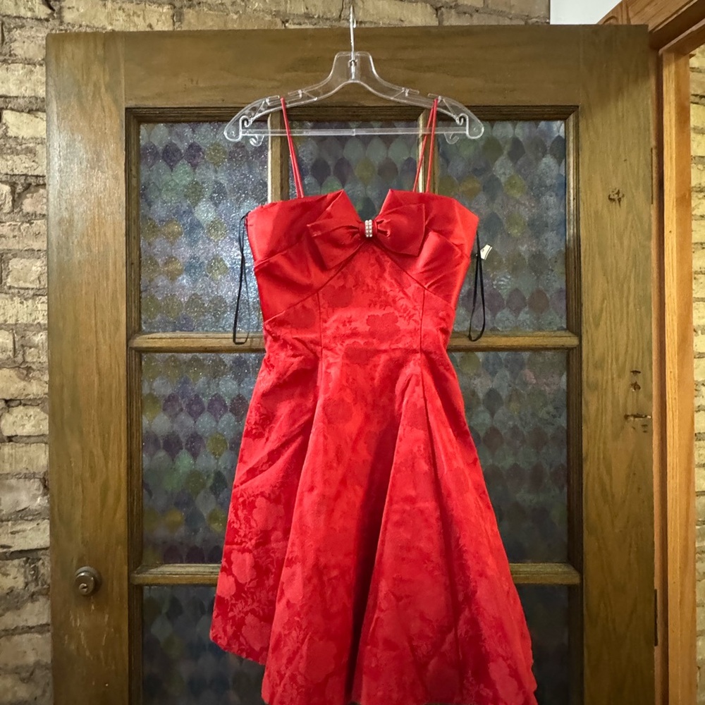 AND Red Floral Dress